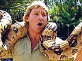 Crocodile Hunter Steve Irwin