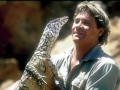 Crocodile Hunter Steve Irwin