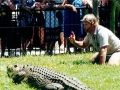 Crocodile Hunter Steve Irwin