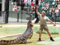 Crocodile Hunter Steve Irwin