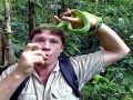 Crocodile Hunter Steve Irwin