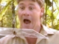 Crocodile Hunter Steve Irwin