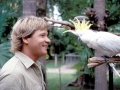 Crocodile Hunter Steve Irwin