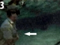 Steve Irwin's Final Day......note: Arrow pointing at the impaled stingray barb.