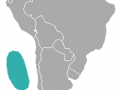 Juan Fernandez Fur Seal