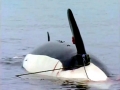 Killer Whale