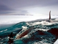 Killer Whale