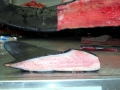 Killer Whale