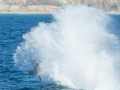 Killer Whale