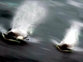 Killer Whale