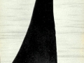 Killer Whale
