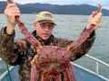 King Crab