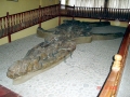 Kronosaurus