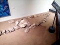 Kronosaurus