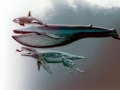 Kronosaurus