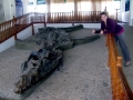Kronosaurus