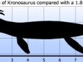 Kronosaurus