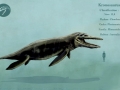 Kronosaurus