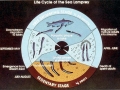 Lamprey Eel