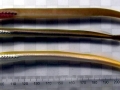 Sea Lamprey Eel