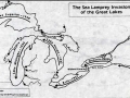 Lamprey Eel