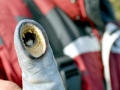 Lamprey Eel