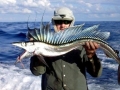Lancetfish