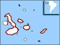 Lava Gull
