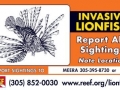Lionfish