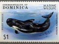 Long-finned Pilot Whale