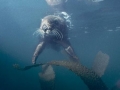 Marine Otter