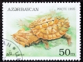 Mata Mata Turtle