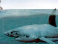 Megalodon
