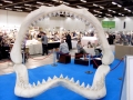Megalodon