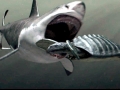 Megalodon