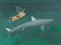 Megalodon