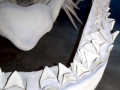 Megalodon