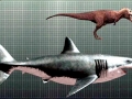 Megalodon