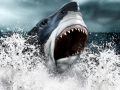 Megalodon