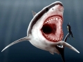 Megalodon
