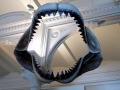 Megalodon