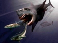 Megalodon