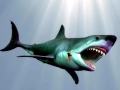 Megalodon
