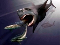 Megalodon