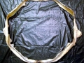Megamouth Shark