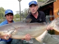 Mekong Giant Catfish