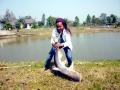 Mekong Giant Catfish