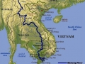 Mekong Giant Catfish