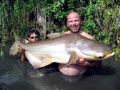 Mekong Giant Catfish
