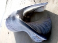 Minke Whale